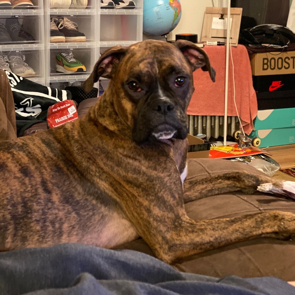 Meet your Posher, Mike